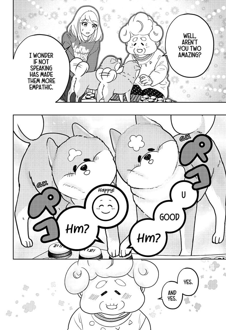 Shiba Inu Rooms Chapter 35 22