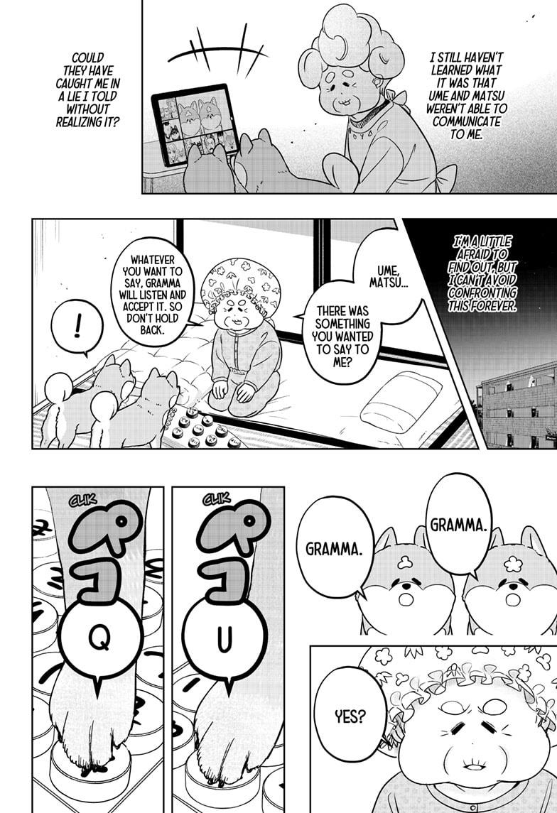 Shiba Inu Rooms Chapter 35 28