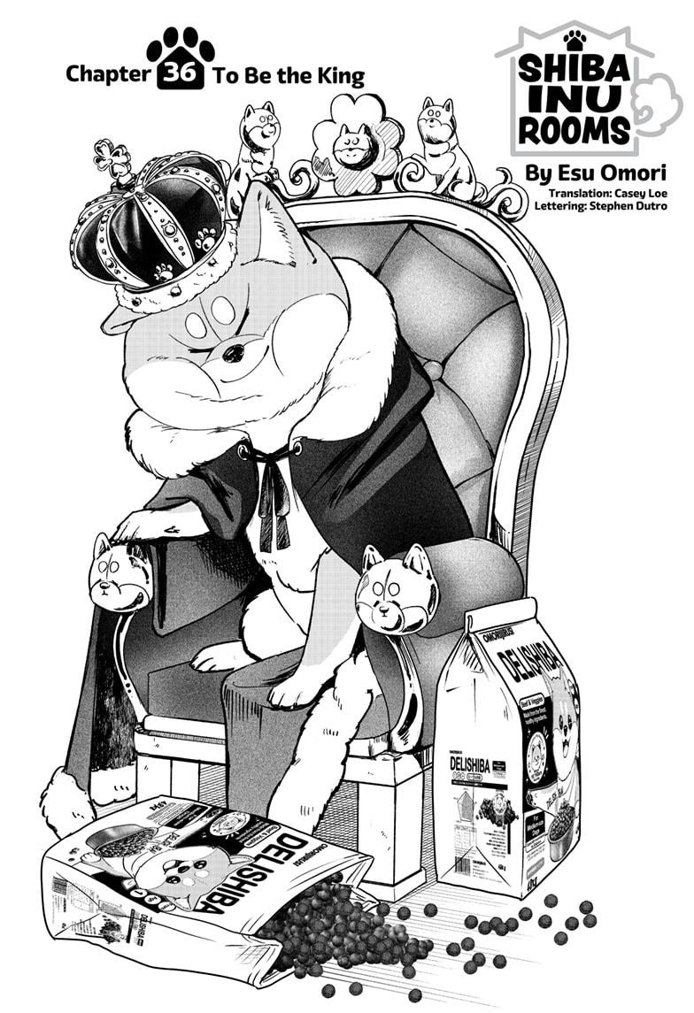 Shiba Inu Rooms Chapter 36 1