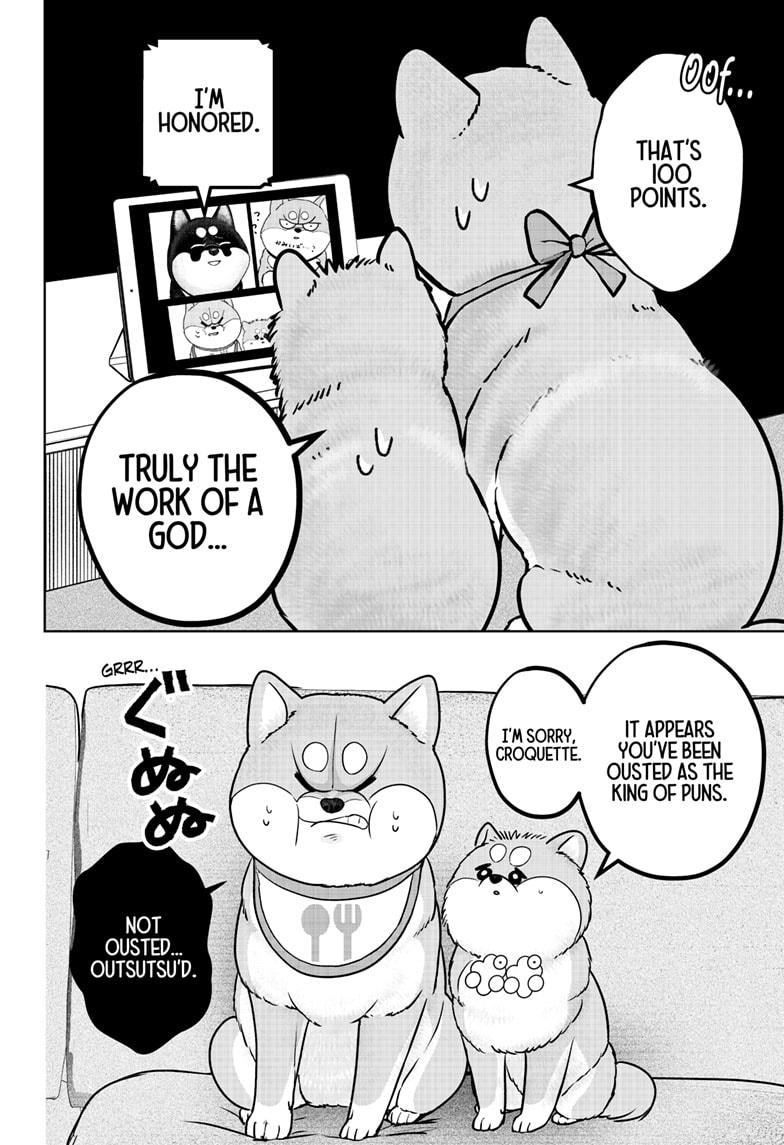 Shiba Inu Rooms Chapter 36 8
