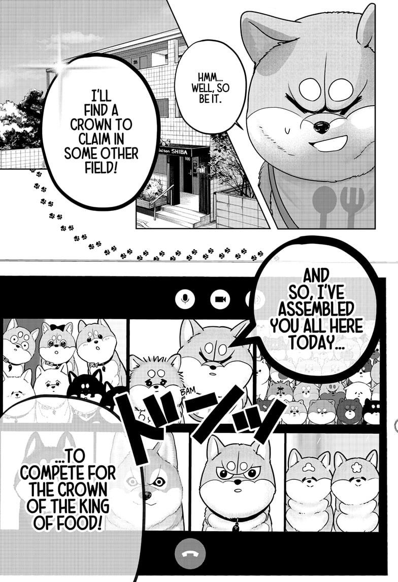 Shiba Inu Rooms Chapter 36 9