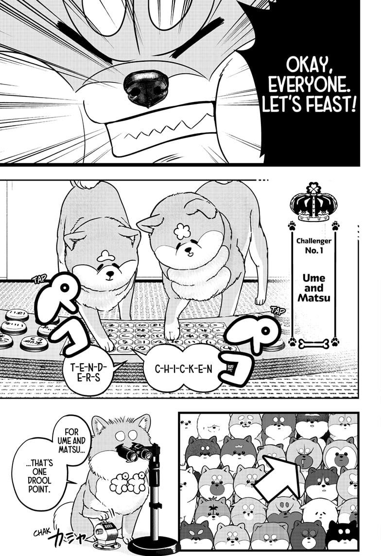 Shiba Inu Rooms Chapter 36 11