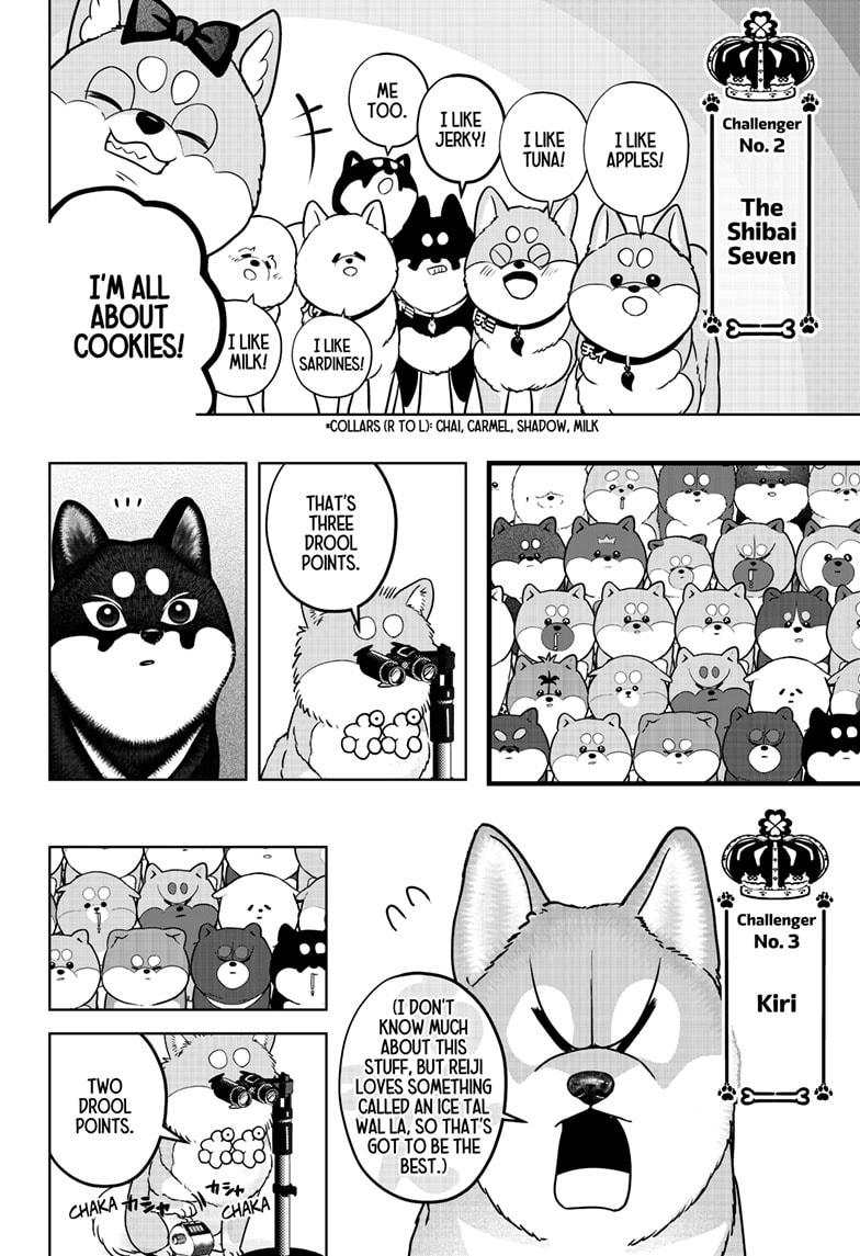 Shiba Inu Rooms Chapter 36 12