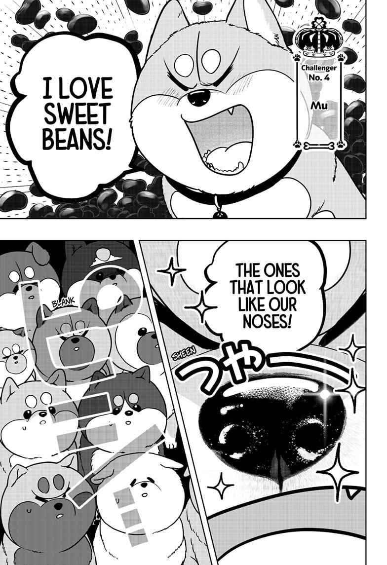Shiba Inu Rooms Chapter 36 13