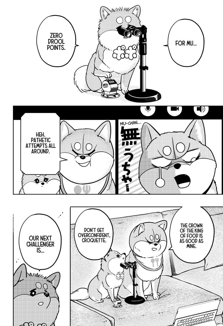 Shiba Inu Rooms Chapter 36 14