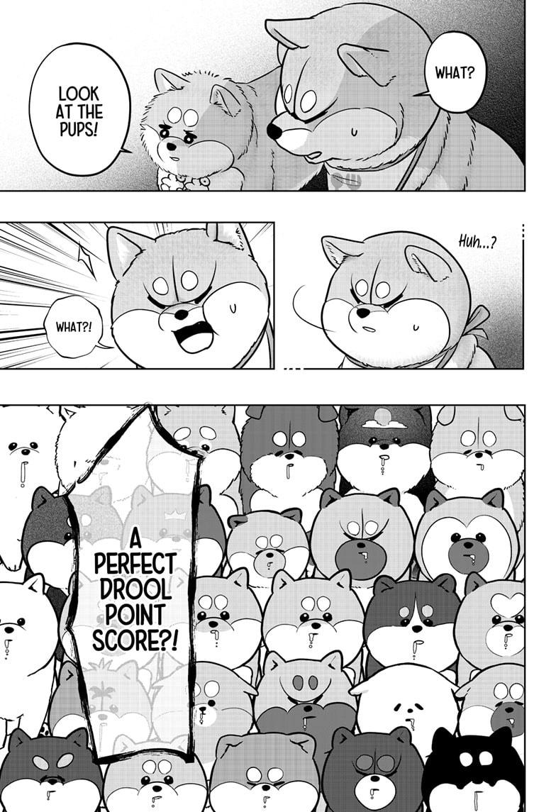 Shiba Inu Rooms Chapter 36 17