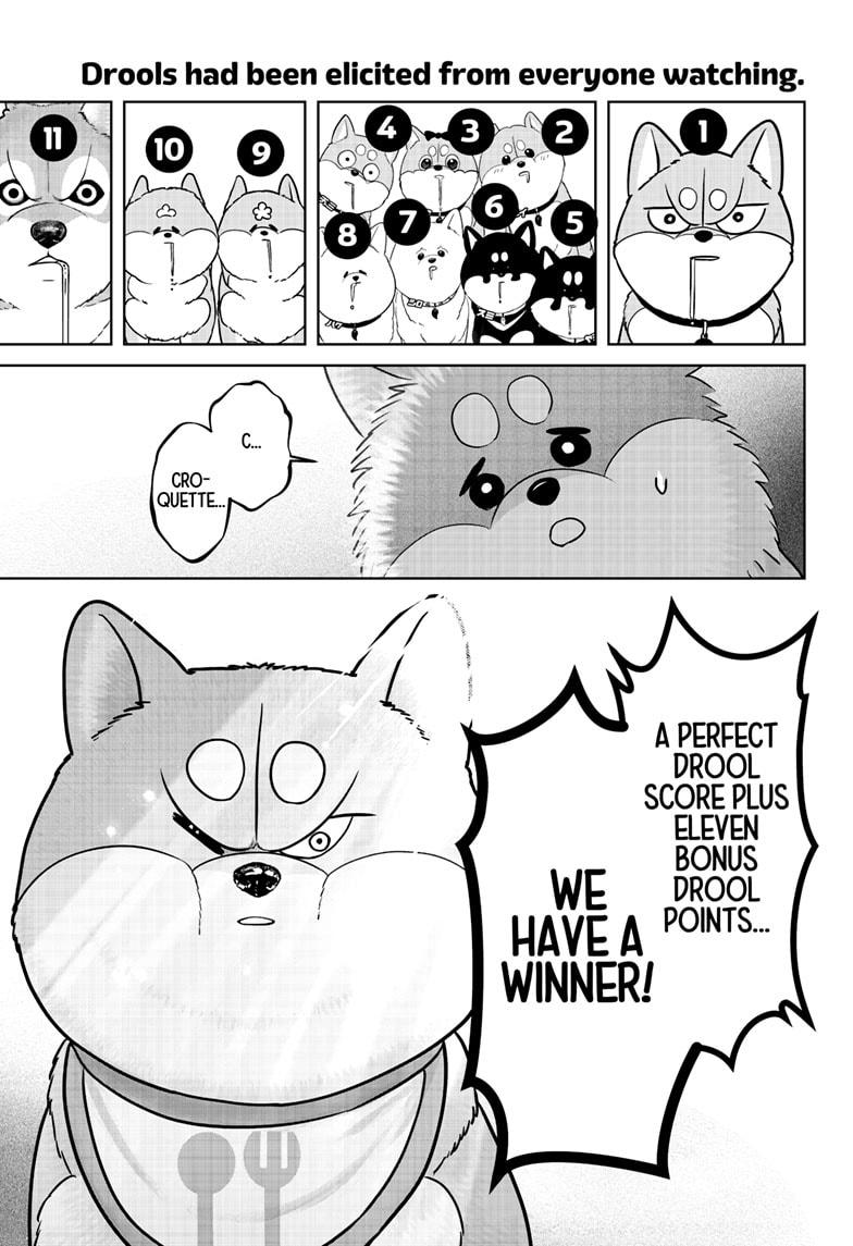 Shiba Inu Rooms Chapter 36 23