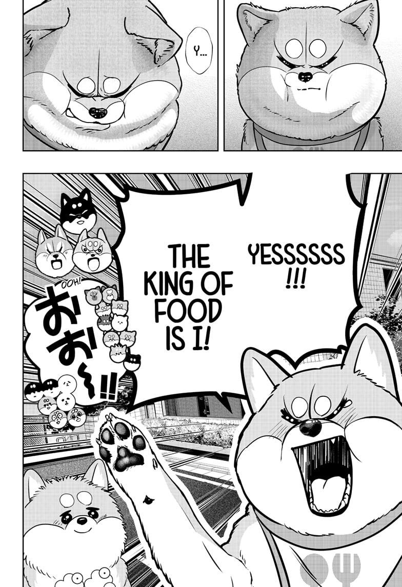 Shiba Inu Rooms Chapter 36 24