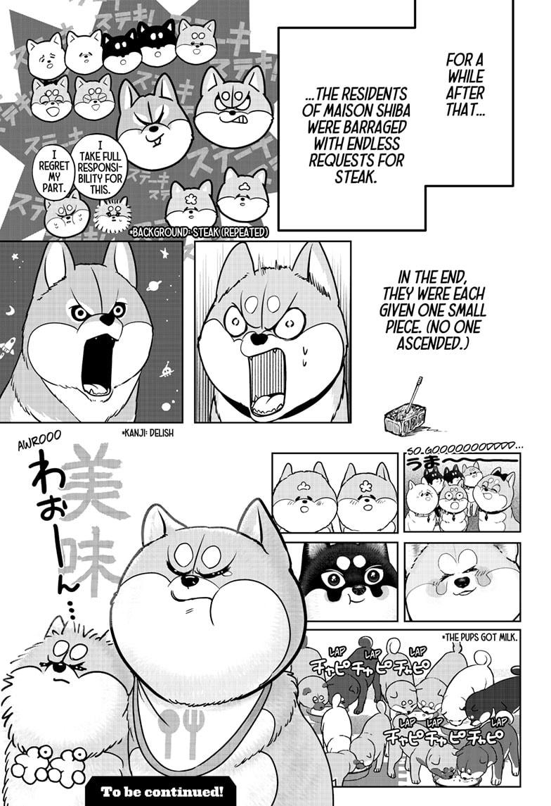 Shiba Inu Rooms Chapter 36 25