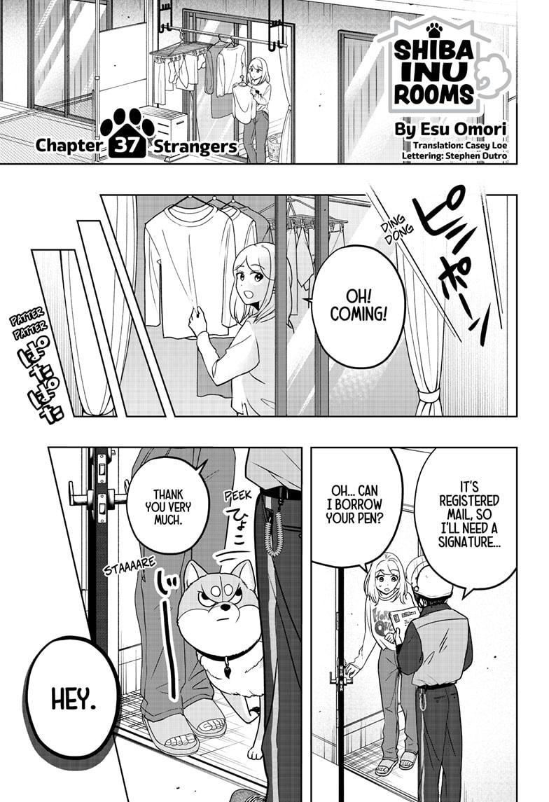 Shiba Inu Rooms Chapter 37 1