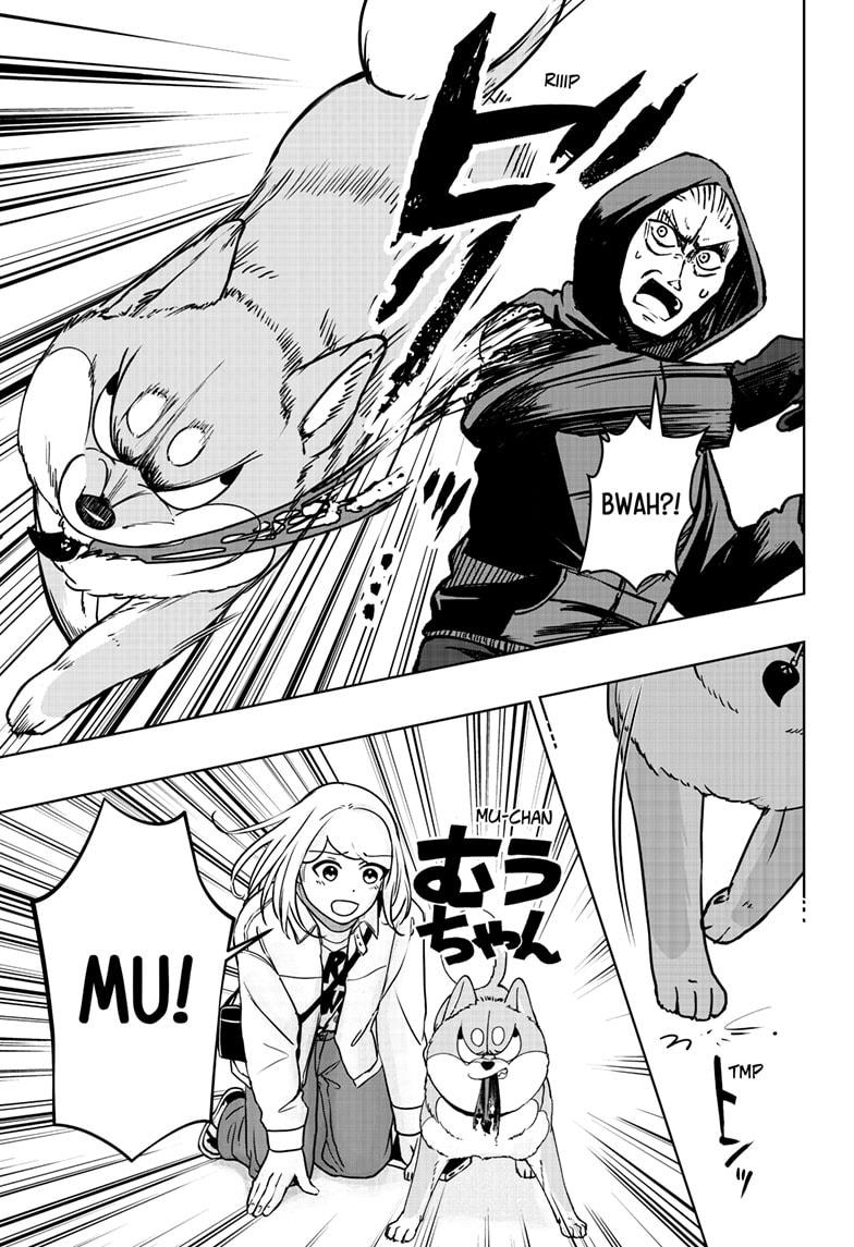 Shiba Inu Rooms Chapter 37 21