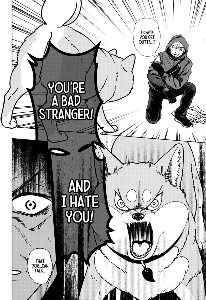 Shiba Inu Rooms Chapter 37 22