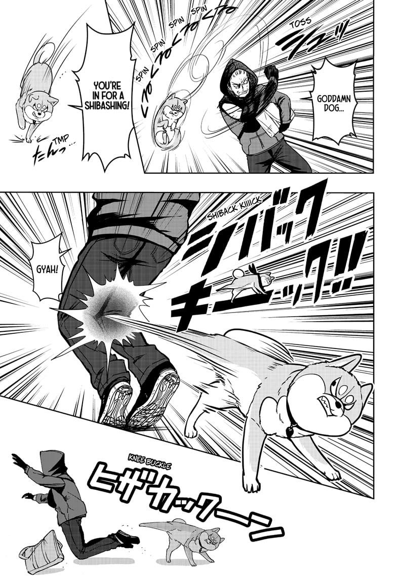 Shiba Inu Rooms Chapter 37 25