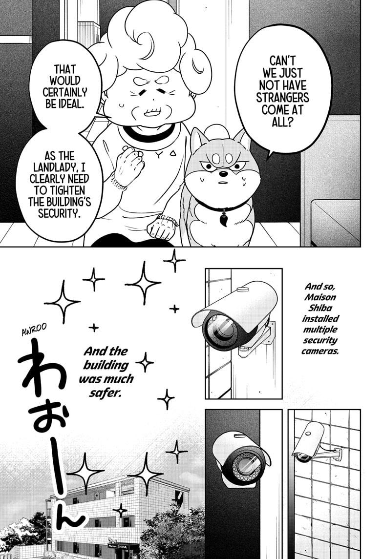 Shiba Inu Rooms Chapter 37 33
