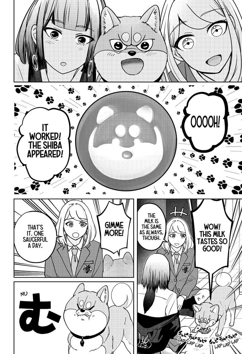Shiba Inu Rooms Chapter 38 12