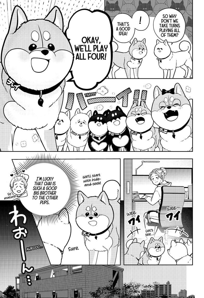 Shiba Inu Rooms Chapter 39 3