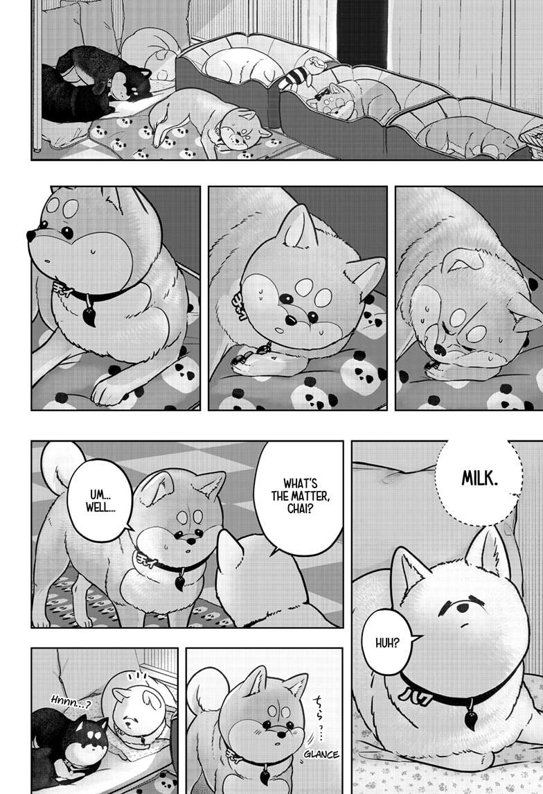Shiba Inu Rooms Chapter 39 4