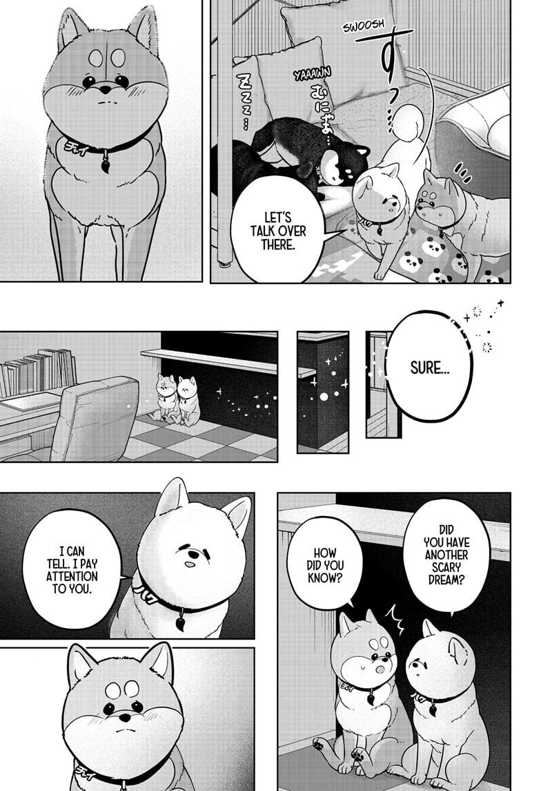 Shiba Inu Rooms Chapter 39 5