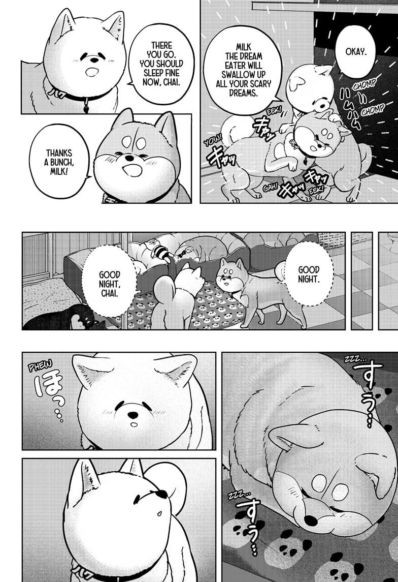 Shiba Inu Rooms Chapter 39 6