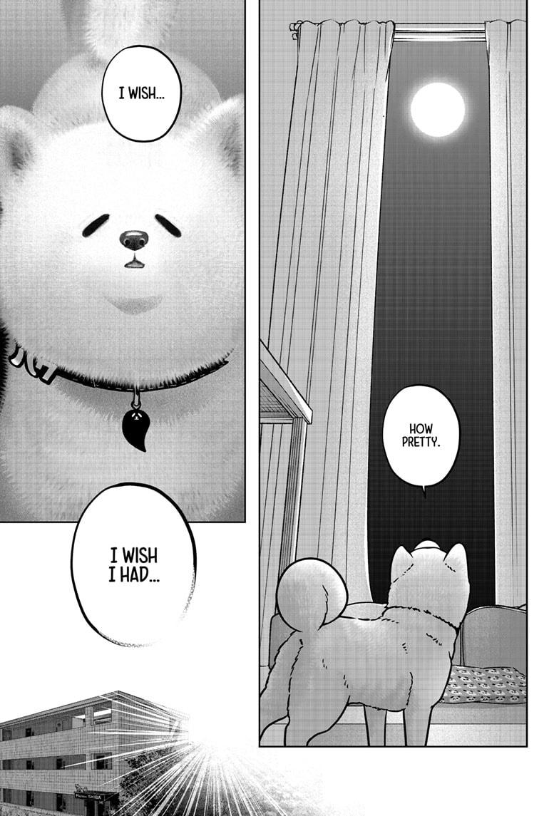 Shiba Inu Rooms Chapter 39 7