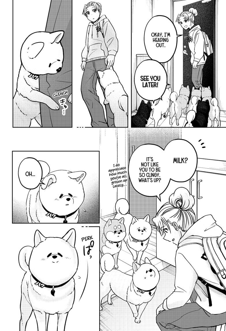 Shiba Inu Rooms Chapter 39 8