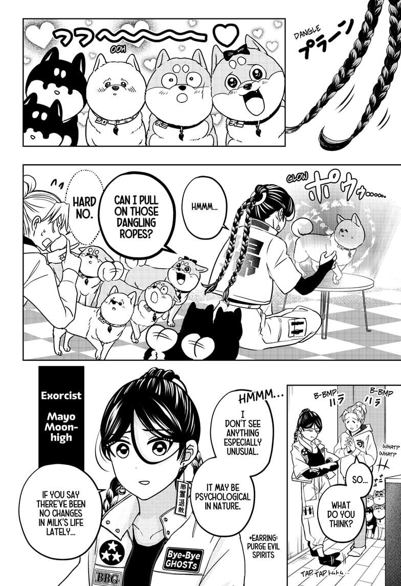 Shiba Inu Rooms Chapter 39 12