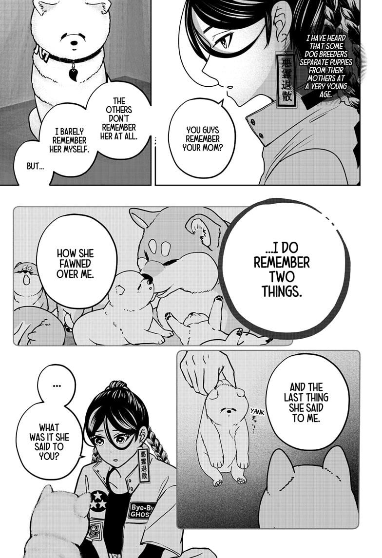 Shiba Inu Rooms Chapter 39 19