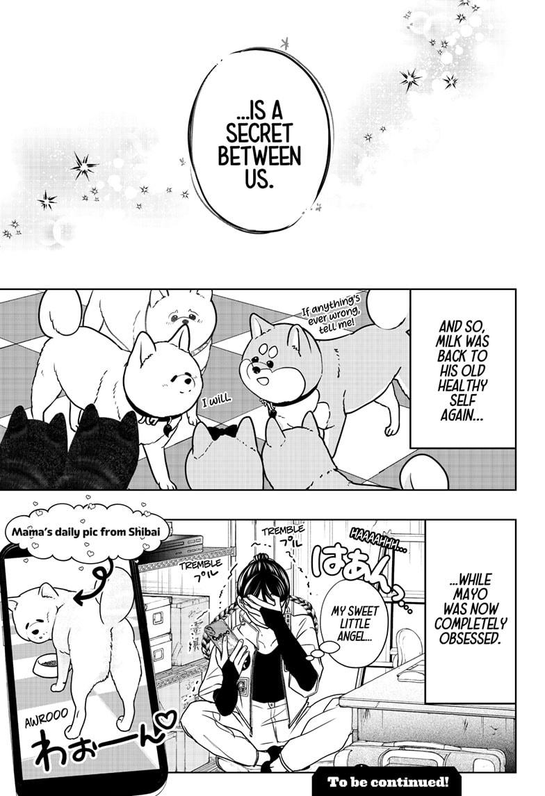 Shiba Inu Rooms Chapter 39 31