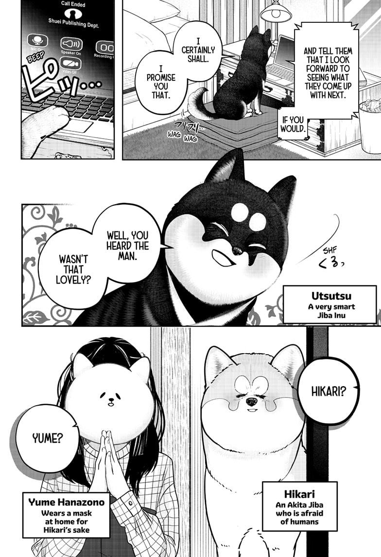 Shiba Inu Rooms Chapter 40 2