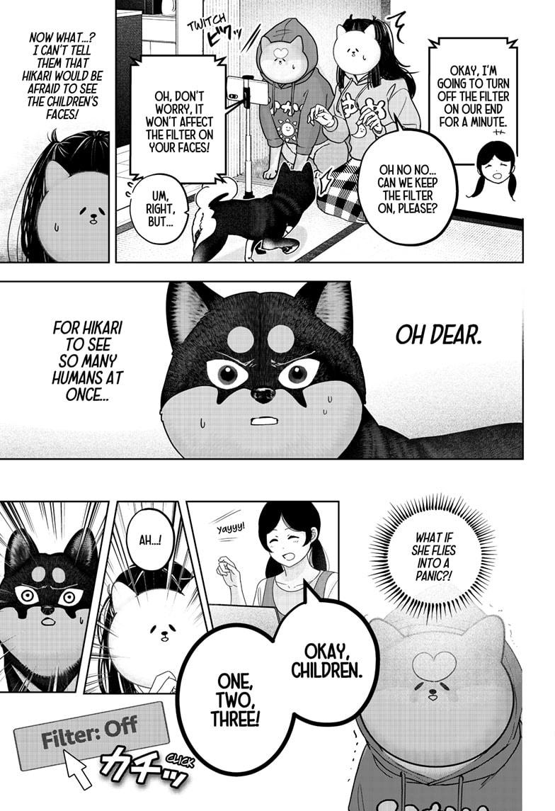 Shiba Inu Rooms Chapter 40 19