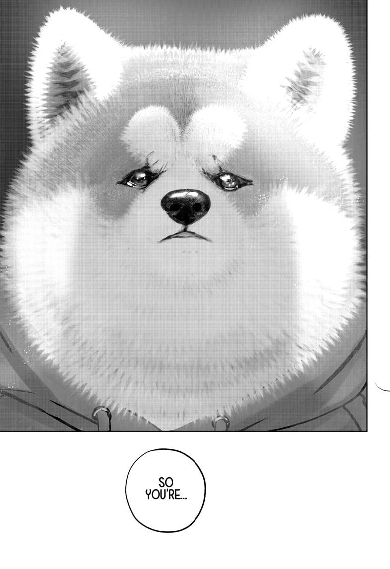 Shiba Inu Rooms Chapter 40 31