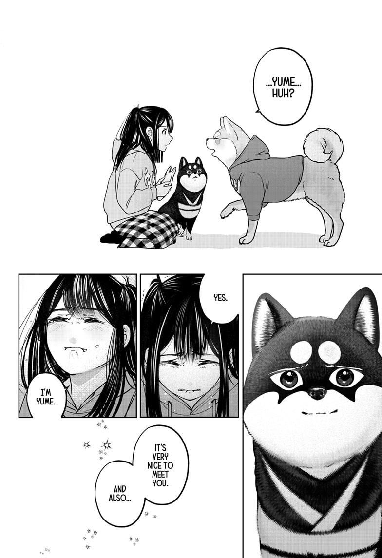 Shiba Inu Rooms Chapter 40 32