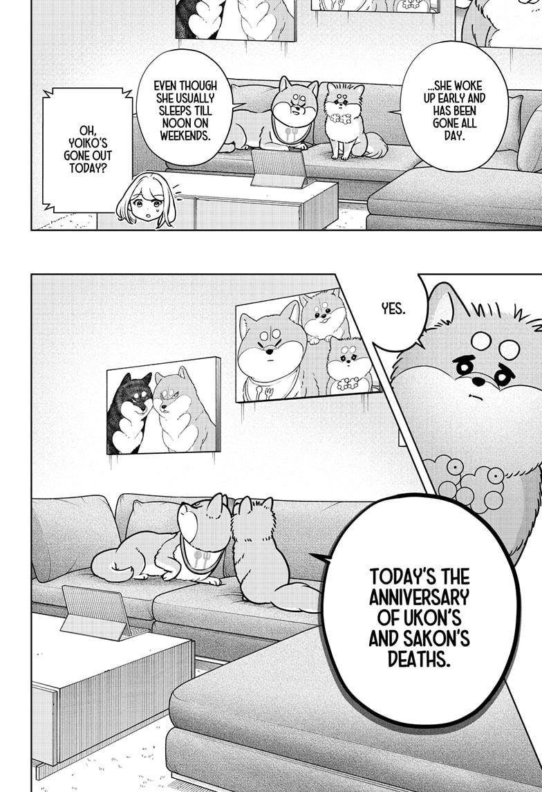 Shiba Inu Rooms Chapter 41 4