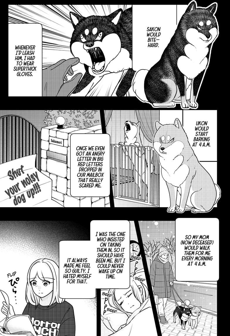 Shiba Inu Rooms Chapter 41 15