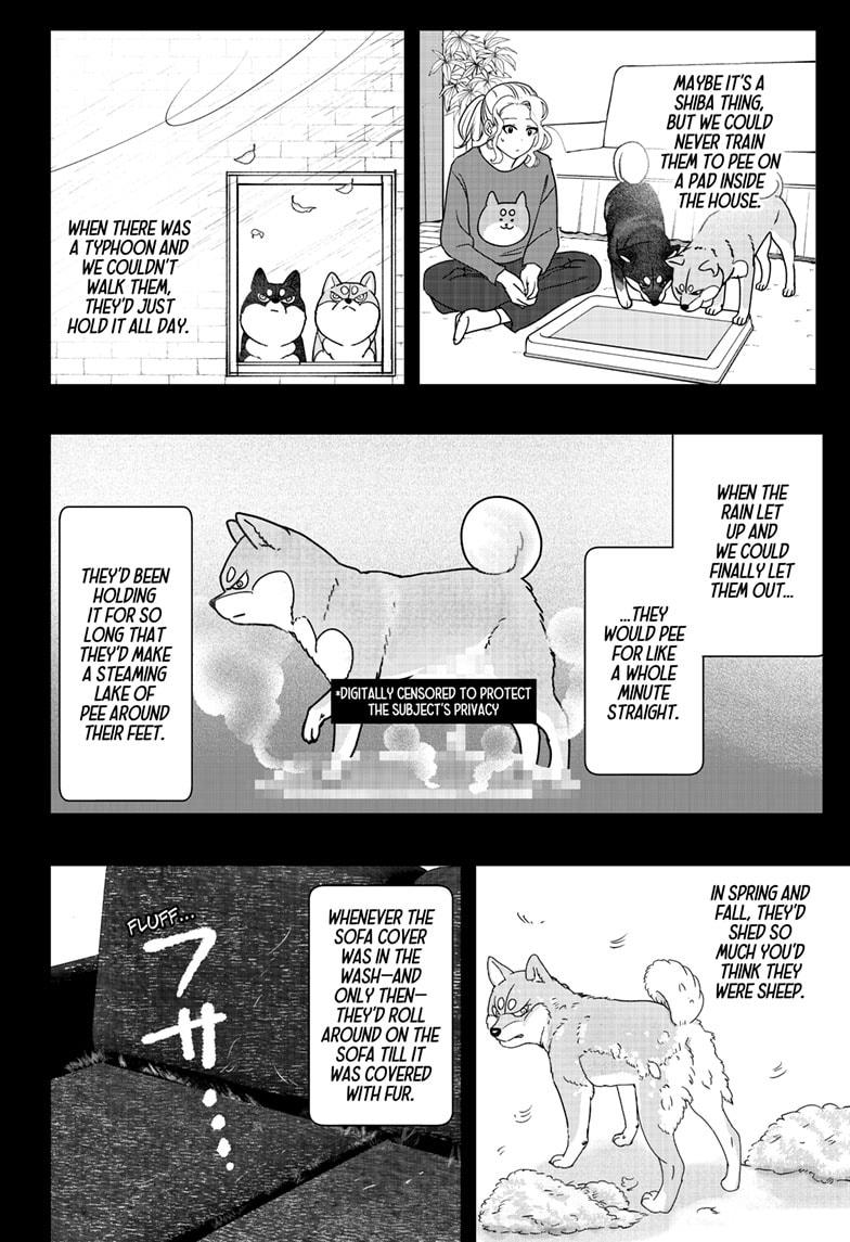 Shiba Inu Rooms Chapter 41 16