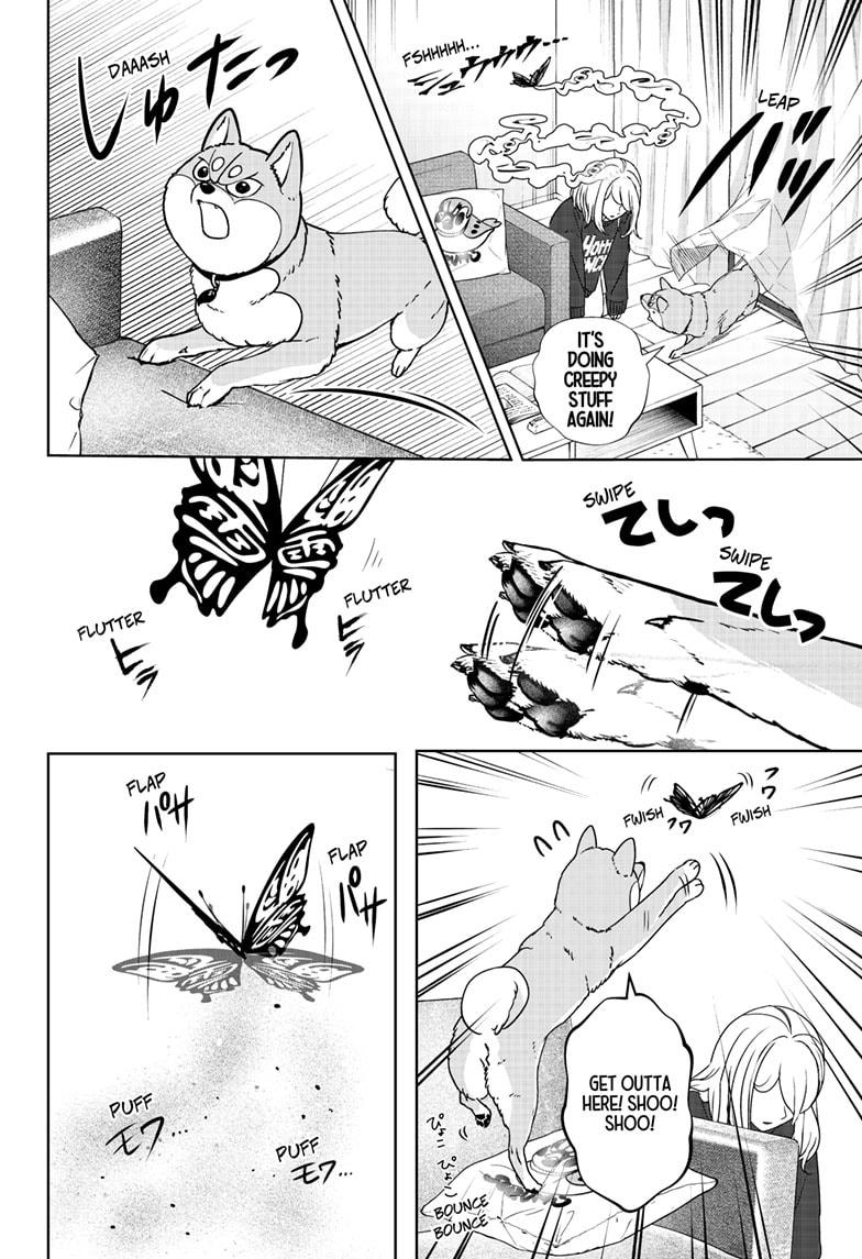 Shiba Inu Rooms Chapter 42 18