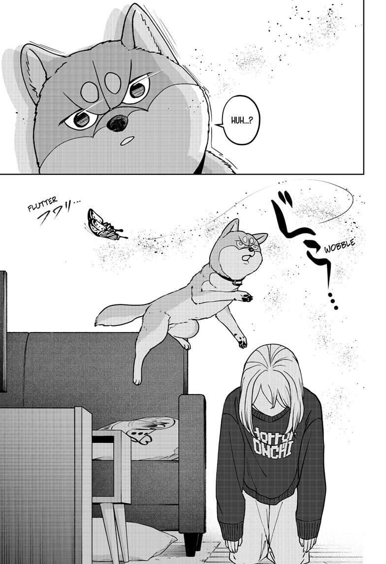 Shiba Inu Rooms Chapter 42 19