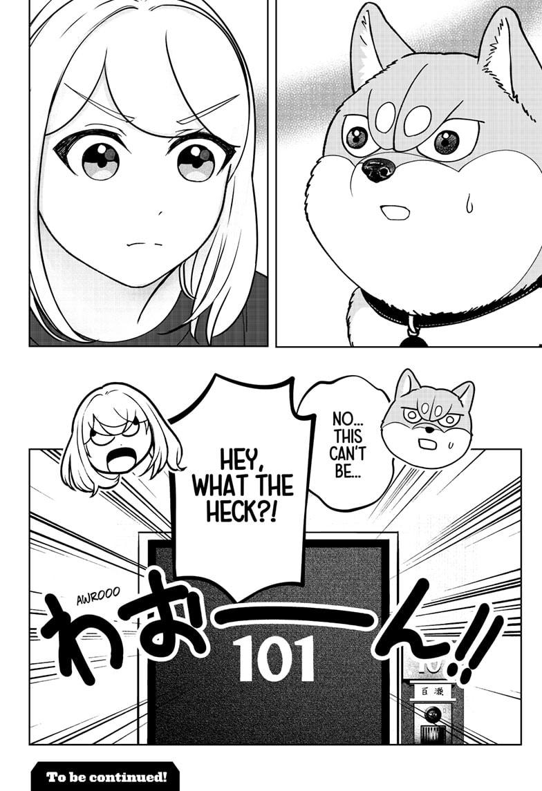 Shiba Inu Rooms Chapter 42 26