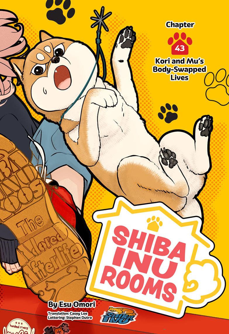Shiba Inu Rooms Chapter 43 2