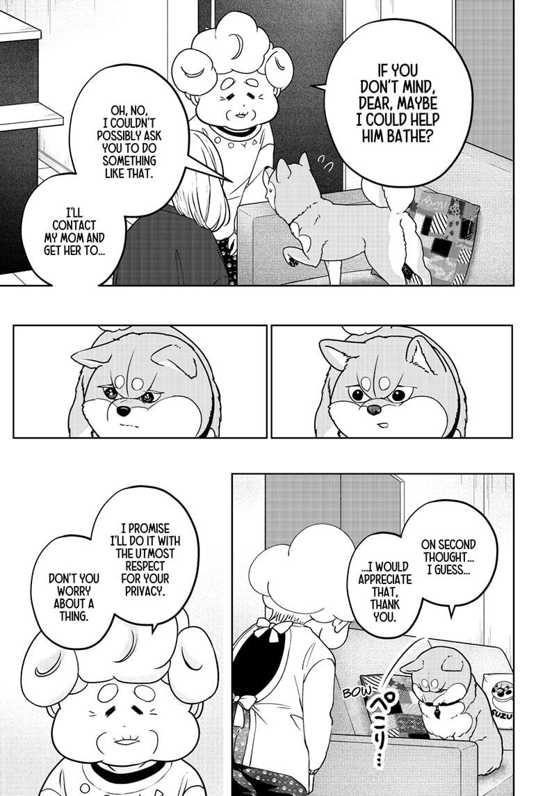 Shiba Inu Rooms Chapter 43 9
