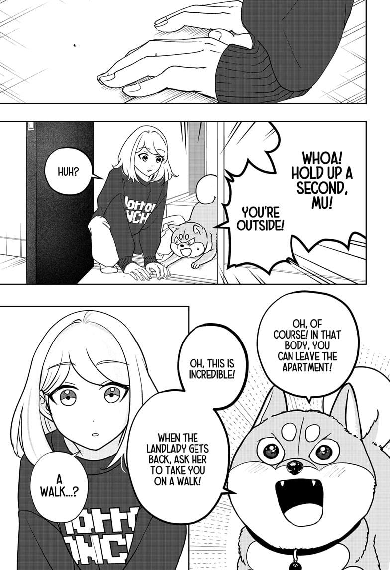 Shiba Inu Rooms Chapter 43 11