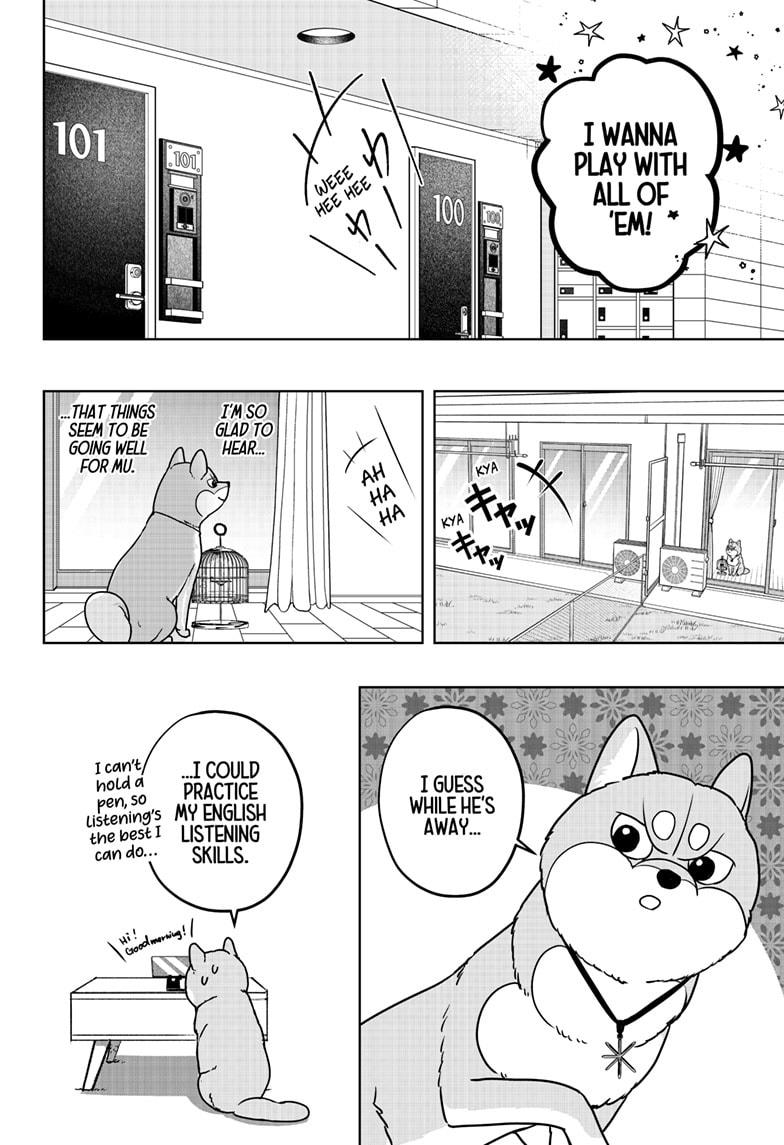 Shiba Inu Rooms Chapter 43 16
