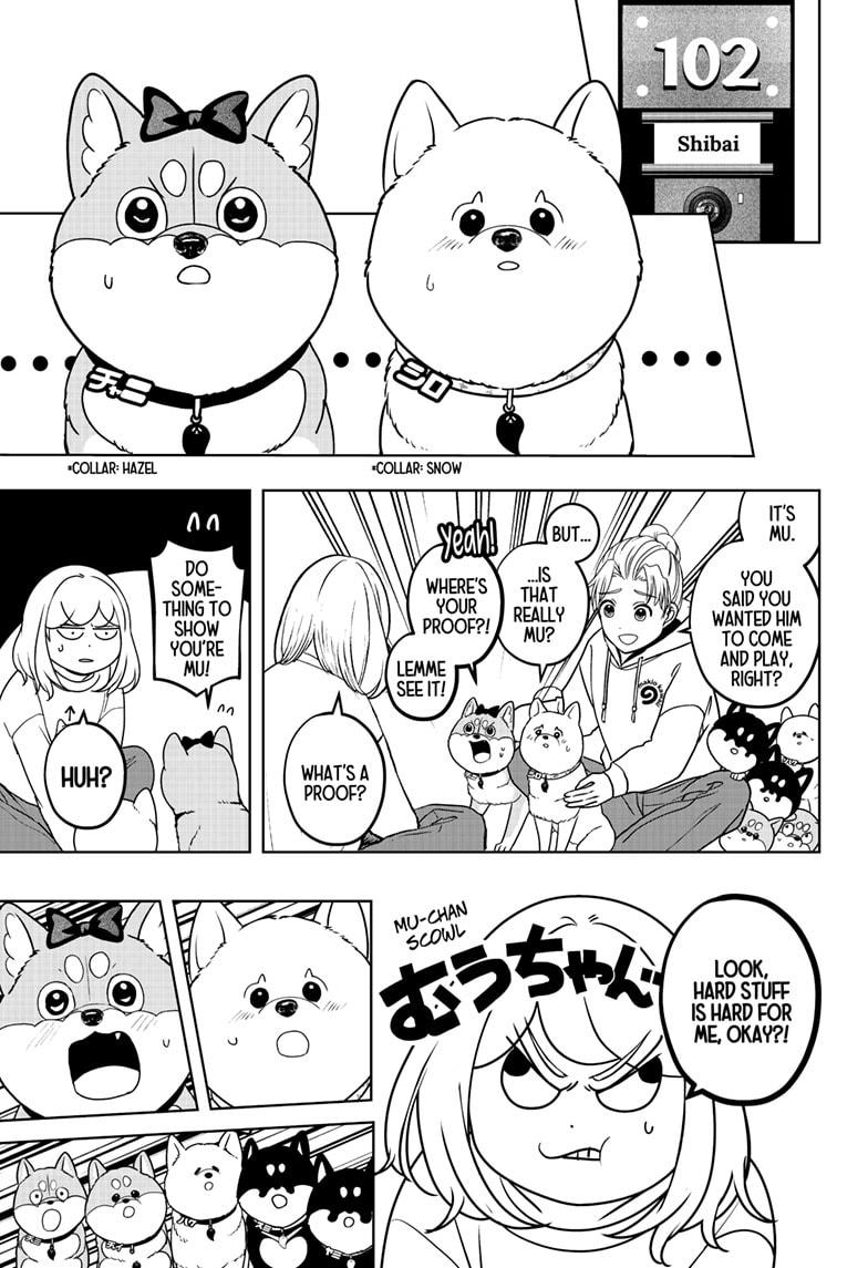 Shiba Inu Rooms Chapter 43 17