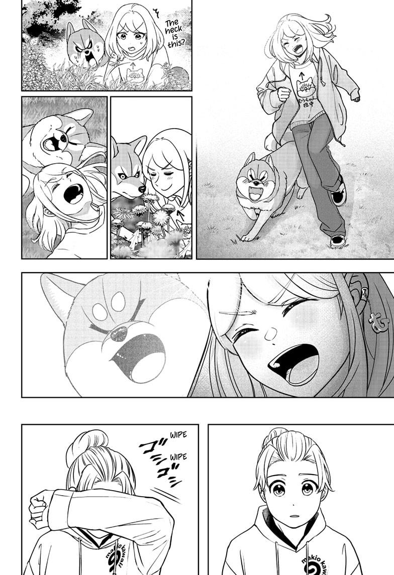 Shiba Inu Rooms Chapter 43 24