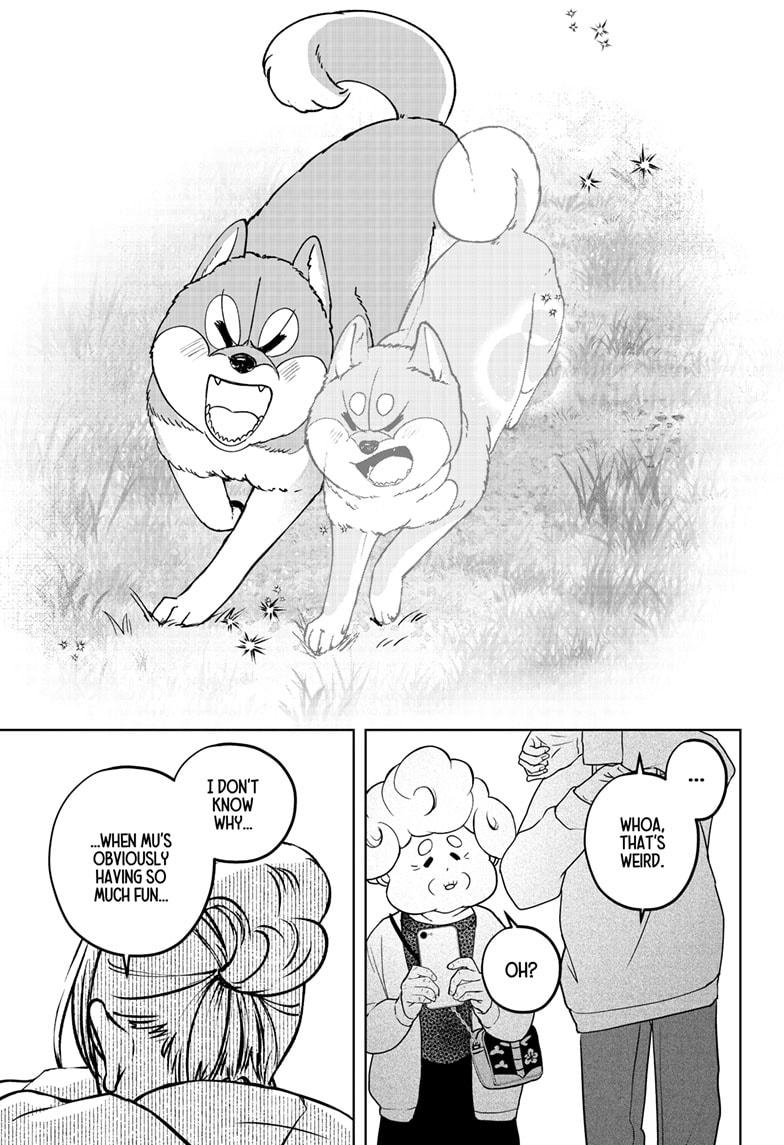 Shiba Inu Rooms Chapter 43 25