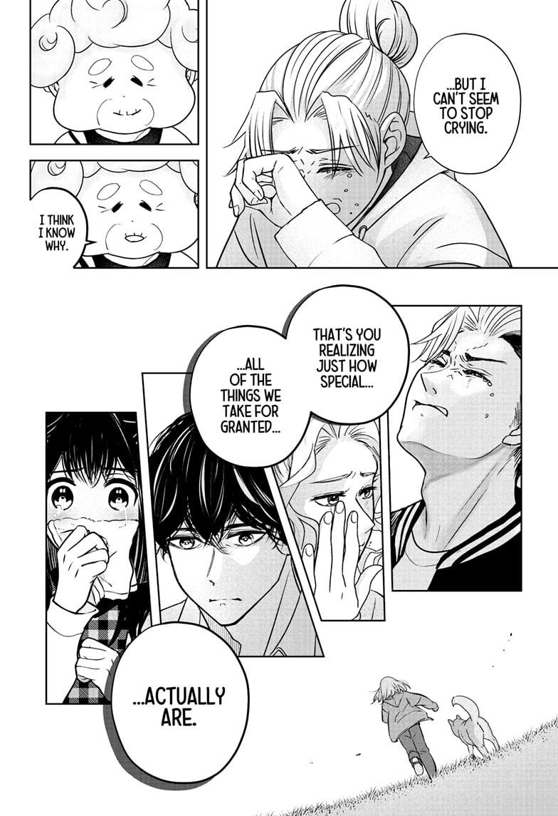 Shiba Inu Rooms Chapter 43 26