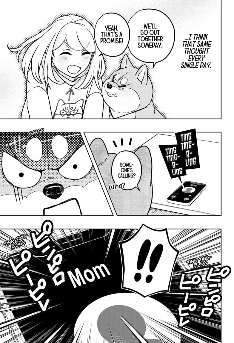 Shiba Inu Rooms Chapter 43 31