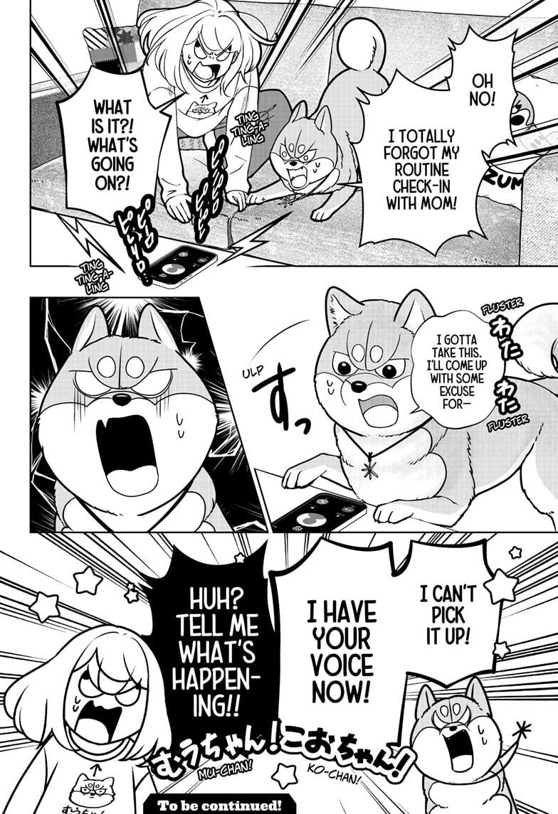 Shiba Inu Rooms Chapter 43 32