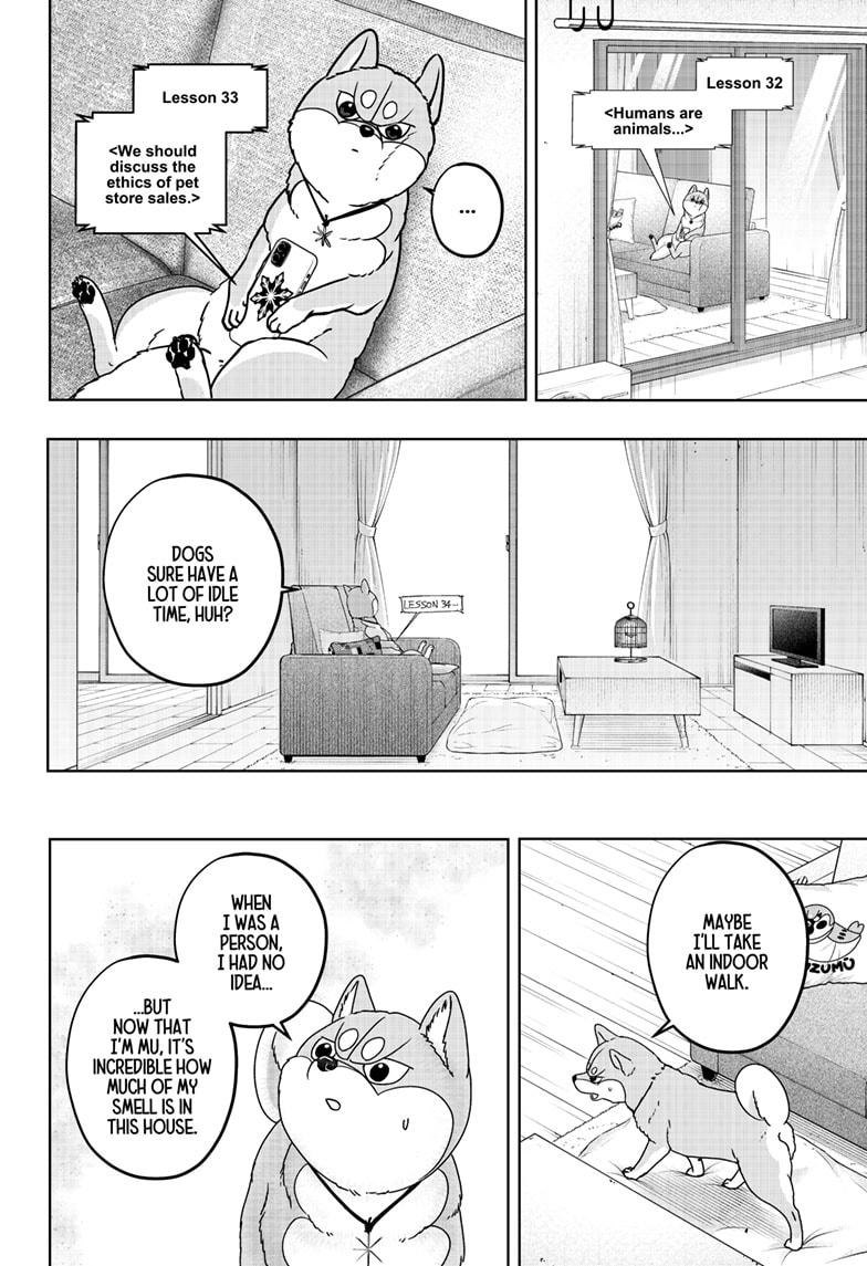 Shiba Inu Rooms Chapter 44 24