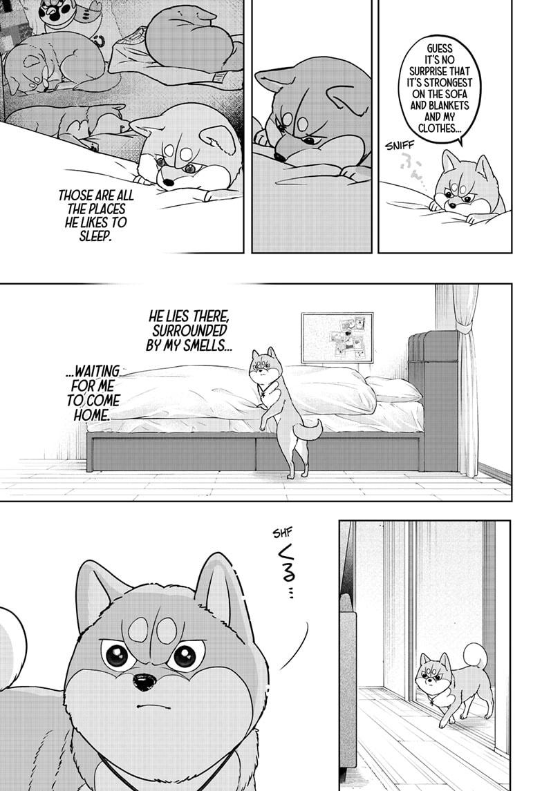 Shiba Inu Rooms Chapter 44 25